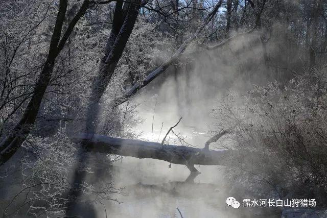 都体:米兰想用萨56抵价1200万欧,以激活齐尔克泽4000