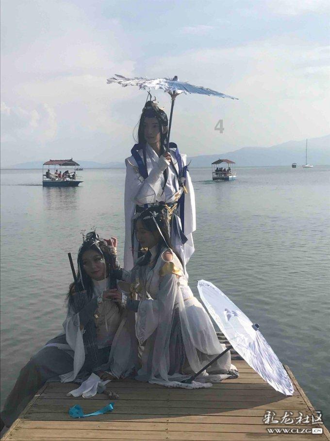 救援受困的老虎