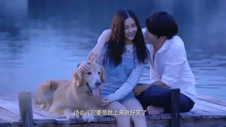 植物大战僵尸1