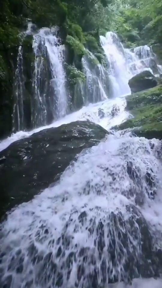 (法治)法 • 视界 | 500斤重黄牛被困!消防员“拔河”救牛