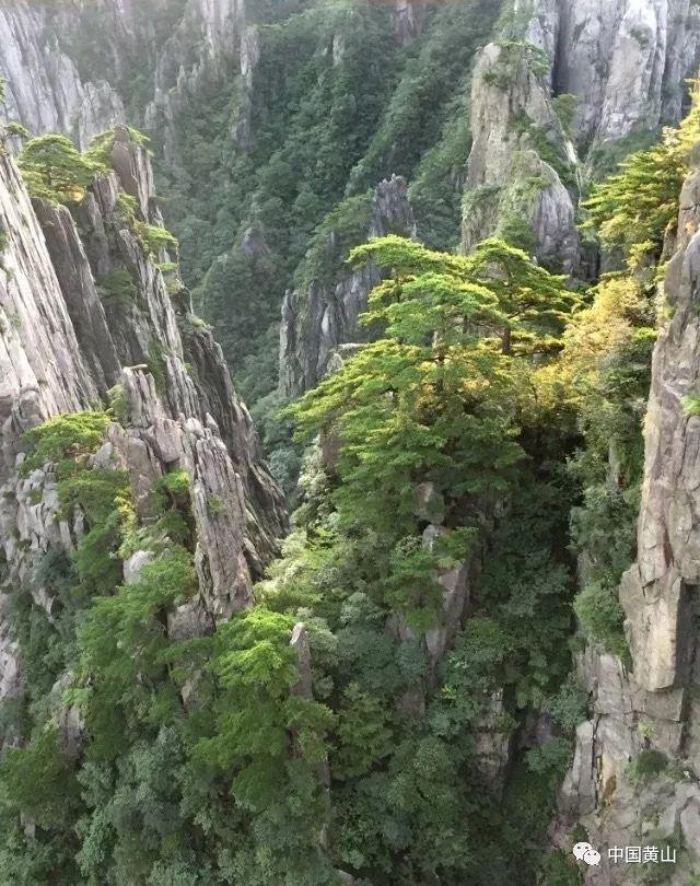 幻想纹章3.1