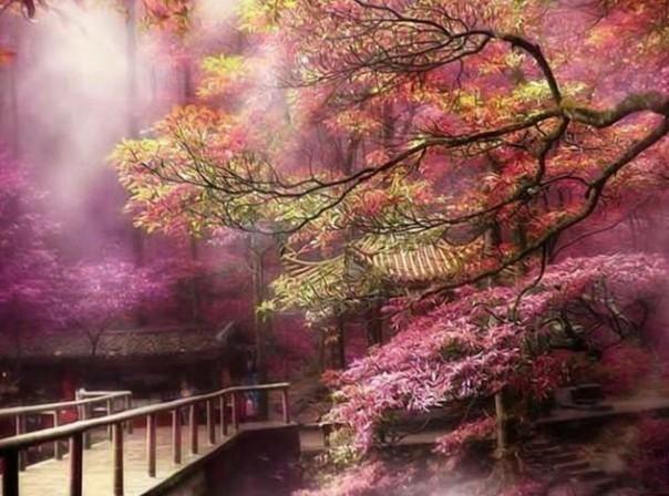 神秘侦探